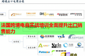 法国跨境电商实战培训全面提升出口销售能力