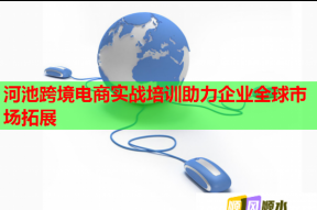 河池跨境电商实战培训助力企业全球市场拓展