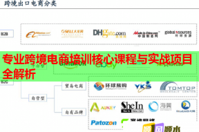 专业跨境电商培训核心课程与实战项目全解析