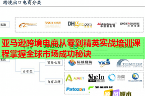 亚马逊跨境电商从零到精英实战培训课程掌握全球市场成功秘诀