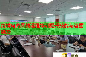 跨境电商实战远程培训提升技能与运营能力