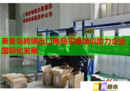 秦皇岛跨境出口电商实操培训助力企业国际化发展
