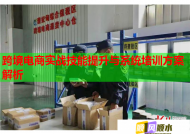 跨境电商实战技能提升与系统培训方案解析