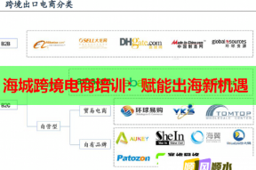 海城跨境电商培训：赋能出海新机遇