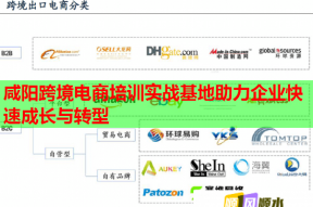 咸阳跨境电商培训实战基地助力企业快速成长与转型