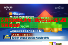 东丽区跨境电商培训助力企业转型与国际贸易发展
