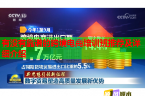 有没有靠谱的跨境电商培训班推荐及详细介绍