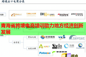 青海省跨境电商培训助力地方经济创新发展