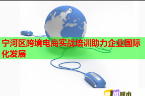 宁河区跨境电商实战培训助力企业国际化发展