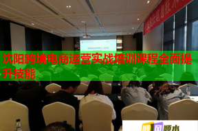 沈阳跨境电商运营实战培训课程全面提升技能