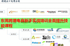 东莞跨境电商新手实战培训全面提升技能课程