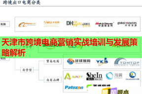 天津市跨境电商营销实战培训与发展策略解析