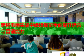 跨境电商实战中级培训班全面提升运营与营销能力