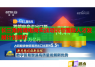 长三角跨境电商实战培训与国际人才发展计划解析