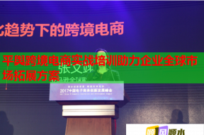 平舆跨境电商实战培训助力企业全球市场拓展方案