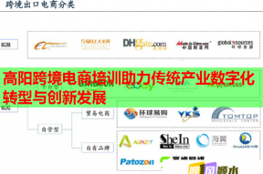 高阳跨境电商培训助力传统产业数字化转型与创新发展
