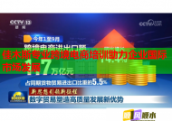 佳木斯专业跨境电商培训助力企业国际市场发展