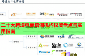 二十大跨境电商培训机构权威盘点与实用指南