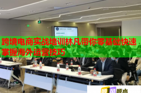 跨境电商实战培训林凡带你零基础快速掌握海外运营技巧