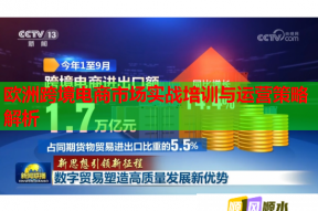 欧洲跨境电商市场实战培训与运营策略解析