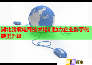 湖北跨境电商技术培训助力企业数字化转型升级