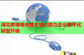 湖北跨境电商技术培训助力企业数字化转型升级