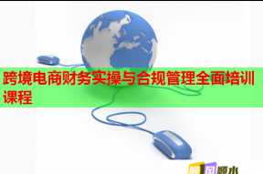 跨境电商财务实操与合规管理全面培训课程