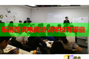乐清跨境电商培训学校有哪些