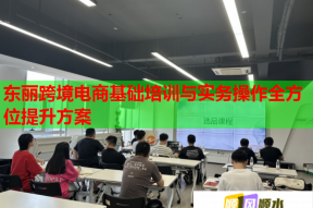 东丽跨境电商基础培训与实务操作全方位提升方案