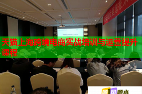 天猫上海跨境电商实战培训与运营提升课程