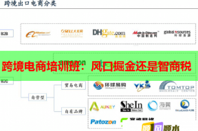 跨境电商培训班：风口掘金还是智商税