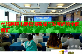 丝路跨境电商培训实战与发展趋势全面解析