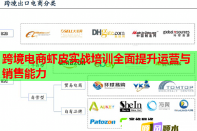 跨境电商虾皮实战培训全面提升运营与销售能力