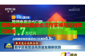 跨境电商培训图解全流程实操与营销技巧详解