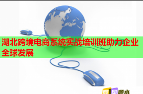 湖北跨境电商系统实战培训班助力企业全球发展