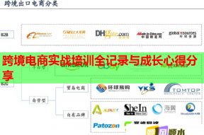 跨境电商实战培训全记录与成长心得分享