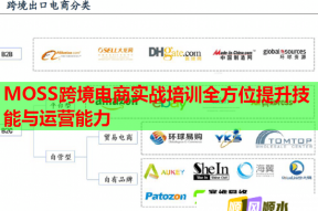 MOSS跨境电商实战培训全方位提升技能与运营能力