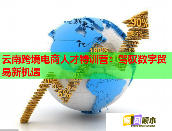 云南跨境电商人才特训营：驾驭数字贸易新机遇  第1张
