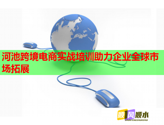 河池跨境电商实战培训助力企业全球市场拓展  第1张