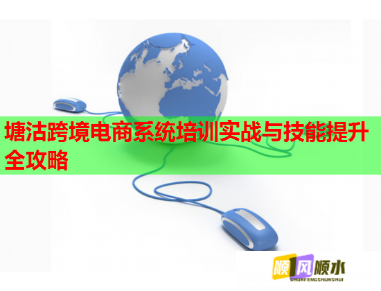 塘沽跨境电商系统培训实战与技能提升全攻略  第1张