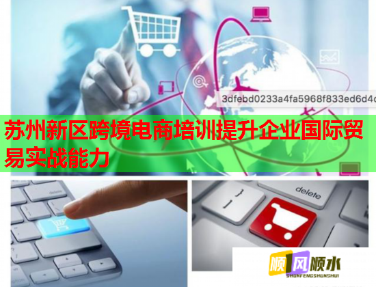 苏州新区跨境电商培训提升企业国际贸易实战能力  第3张