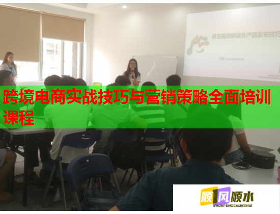 跨境电商实战技巧与营销策略全面培训课程  第1张