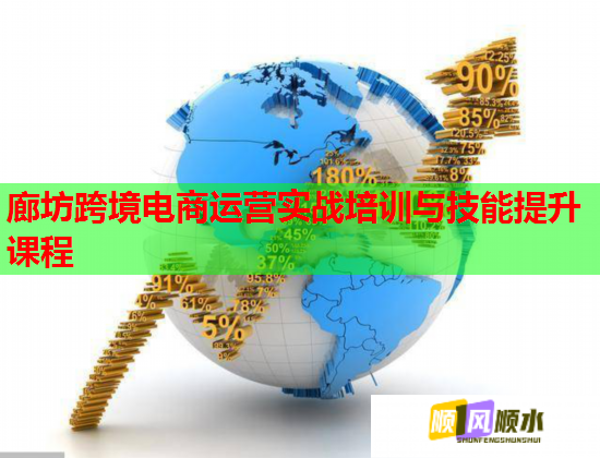 廊坊跨境电商运营实战培训与技能提升课程  第1张