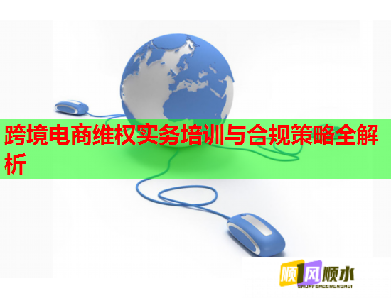 跨境电商维权实务培训与合规策略全解析  第2张