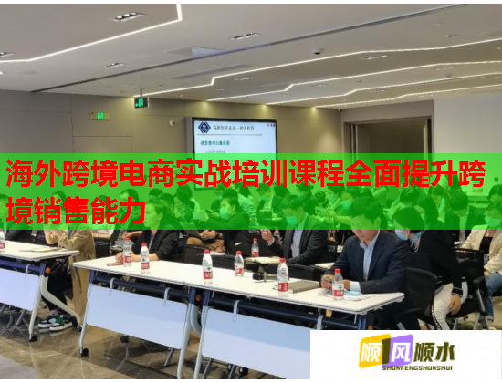 海外跨境电商实战培训课程全面提升跨境销售能力  第2张