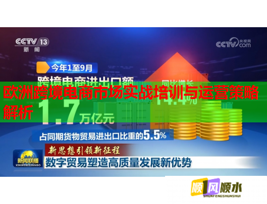 欧洲跨境电商市场实战培训与运营策略解析  第1张