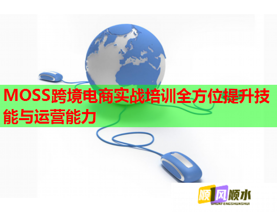 MOSS跨境电商实战培训全方位提升技能与运营能力  第2张