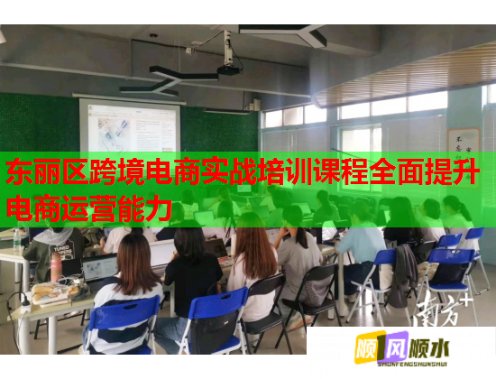 东丽区跨境电商实战培训课程全面提升电商运营能力  第1张