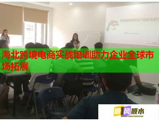 海北跨境电商实战培训助力企业全球市场拓展  第1张