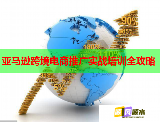 亚马逊跨境电商推广实战培训全攻略  第1张